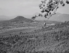 České středohoří