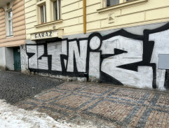 Pařízkovi před domem