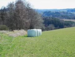 Cestou na vlak