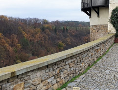 Stáří není pro sraby