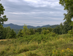 Jak se točí Rozmarýny