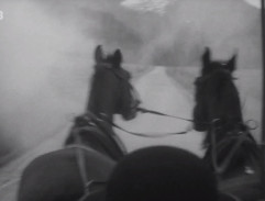 Koňské spřežení