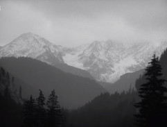 Výhled na Tatry