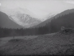 lúka pri cintoríne