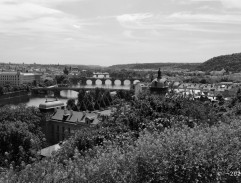 Pražské mosty