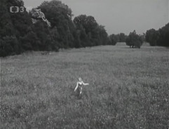 Zámecký park v Lednici - III