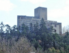 Zřícenina hradu