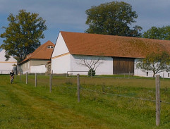 14. Výstava