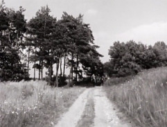 Cesta na mračskou tvrz