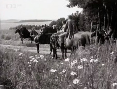 U lesa mračské tvrze