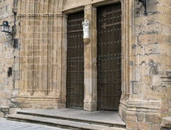 Černý Tulipán