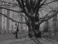 Dostaveníčko v Jihlavě