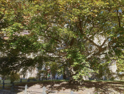 Dostaveníčko v Jihlavě