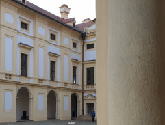 Zpěvák Pavel Novák