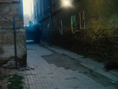 Sedím na větvi a je mi dobře