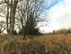 Prengelova rodná chalupa