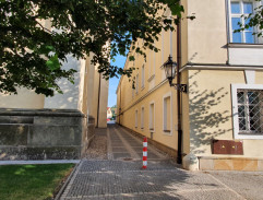 Sedím na větvi a je mi dobře