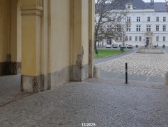 Sedím na větvi a je mi dobře