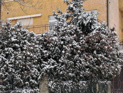 Smíchovská hospoda