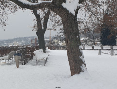 Přání Ježíškovi