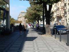 Tereza před Mánesem