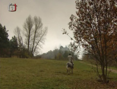 Pod Kunětickou horou