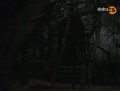 Zarostlý vchod do zámku