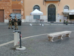 Kytička pro Marcellu 