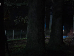 Příjezd k Bořutově farmě