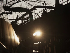 Dolní oblast Vítkovice