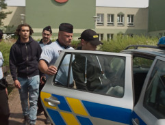 Zatýkání mladistvých