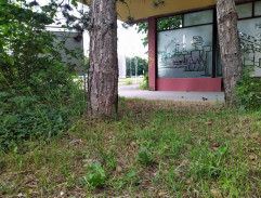 Před vchodem kriminálky