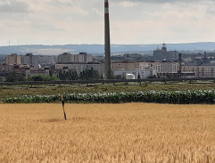 U pěchotního srubu 3