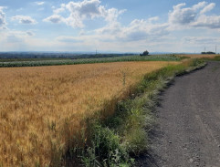 U pěchotního srubu