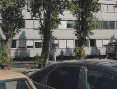 Zadržení Ludvíka Černého