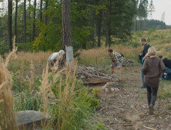 Další důkazy v lese