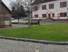 Poštovní doručovatelka