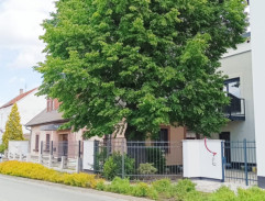 Raněný lučištník