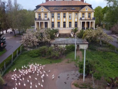 Správní budova zoo