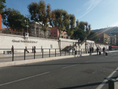 Carella pronásleduje vraha