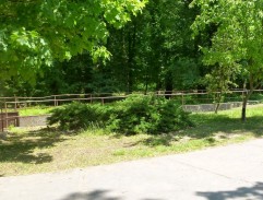 domček služobníctva na Alžbetinom dvore