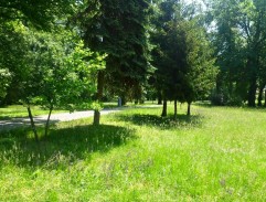 brána na Alžbetinom dvore