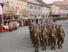 Vojenská přehlídka