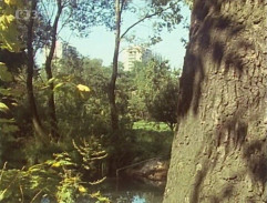 Potok za sídlištěm