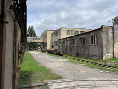 Koucký pronásleduje Veroniku