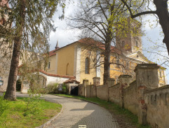 Příjezd pana Prokopa na zámek