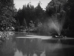 Jezírko s fontánou