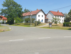 Před domem J. G. Mendela