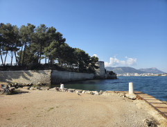 Tonoucí se stébla chytá