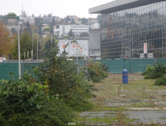 Protest před pavilonem